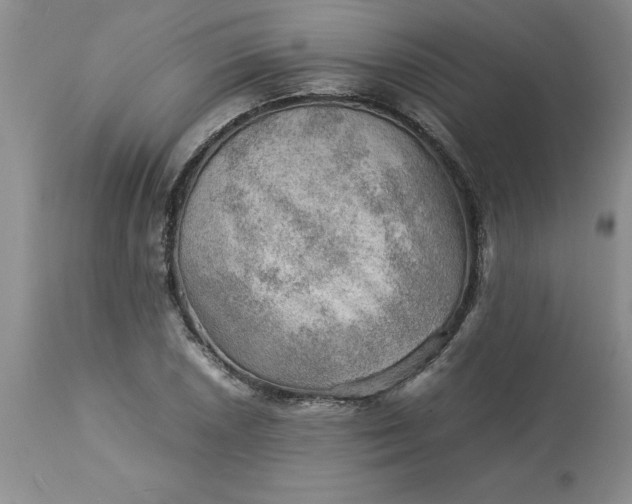 X0000113591026200910021712