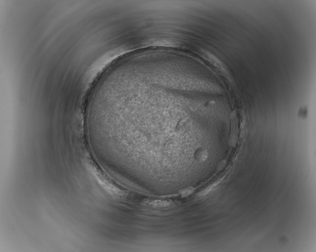 X0000113591027200910021712