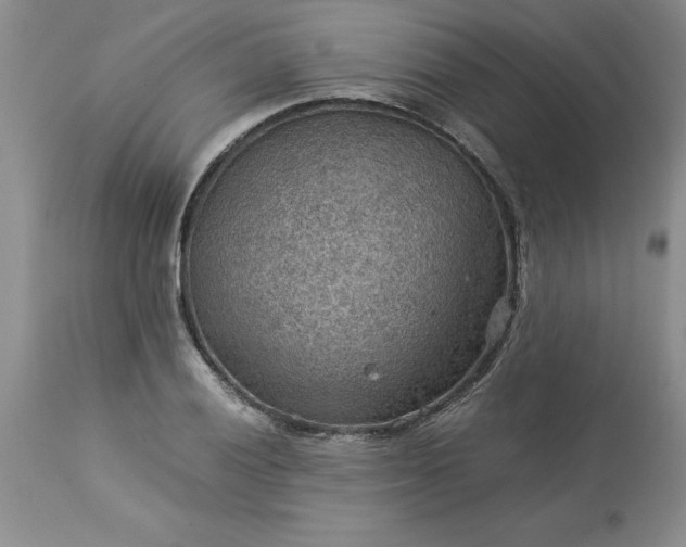 X0000113591028200910021712