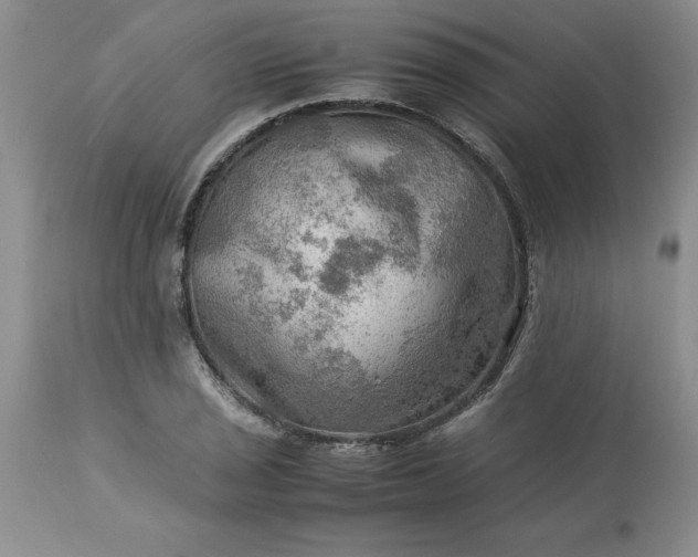 X0000113591029200910021712