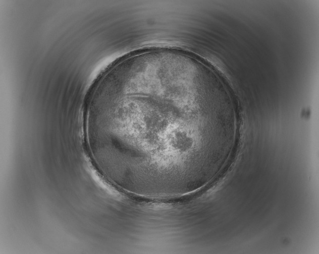 X0000113591030200910021712