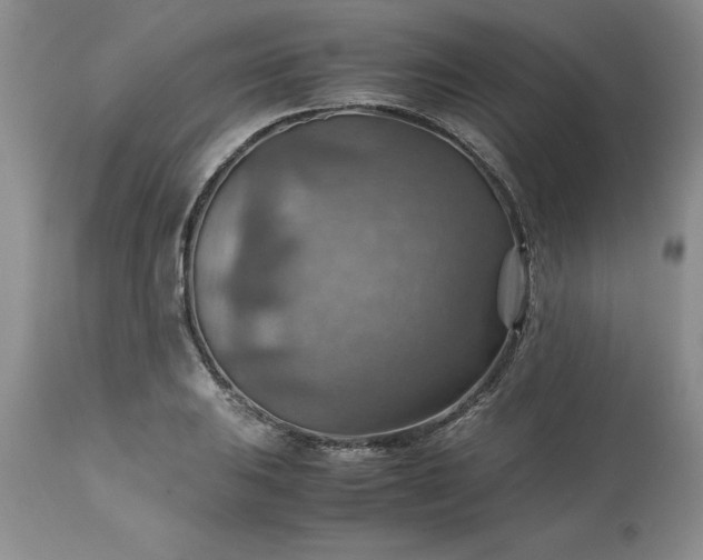 X0000113591031200910021712