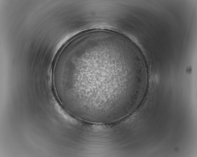 X0000113591032200910021712