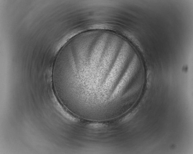 X0000113591033200910021712