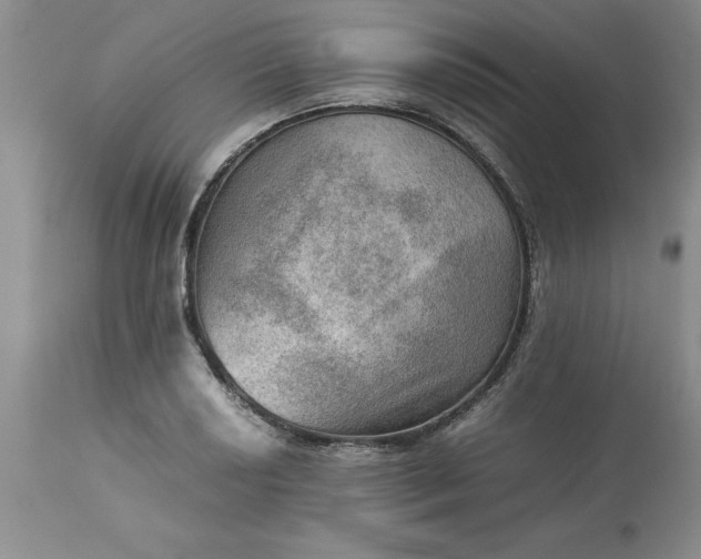 X0000113591034200910021712