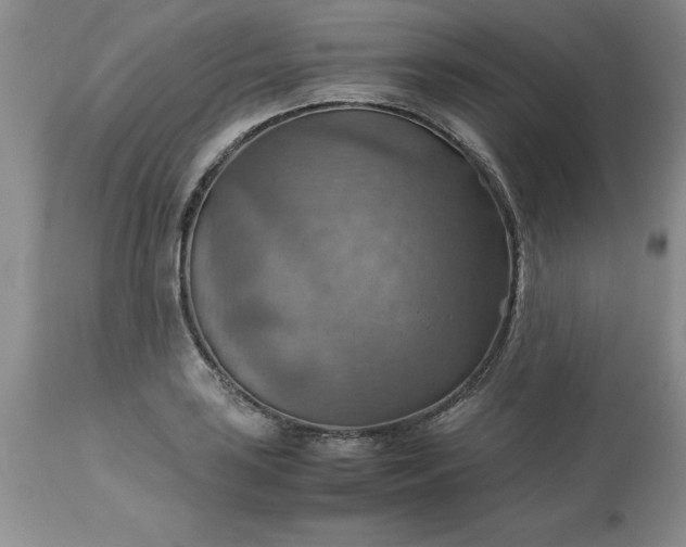 X0000113591035200910021712