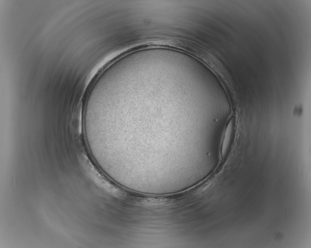 X0000113591036200910021712