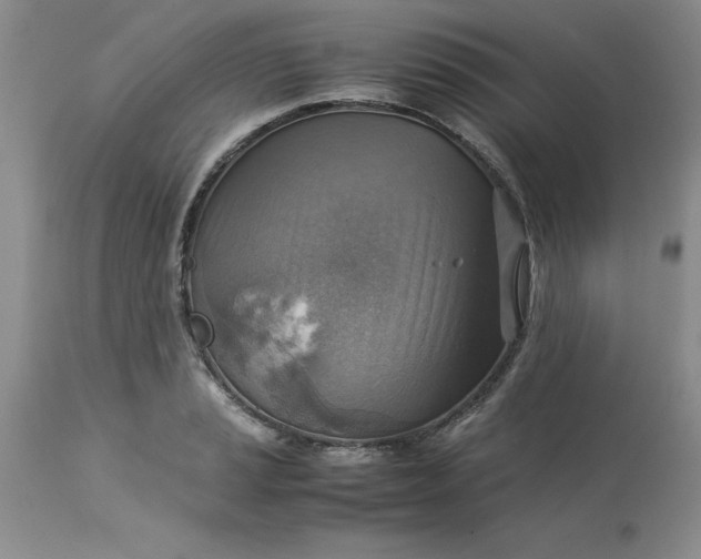 X0000113591037200910021712