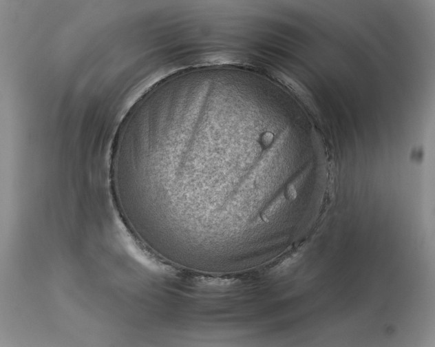 X0000113591039200910021712