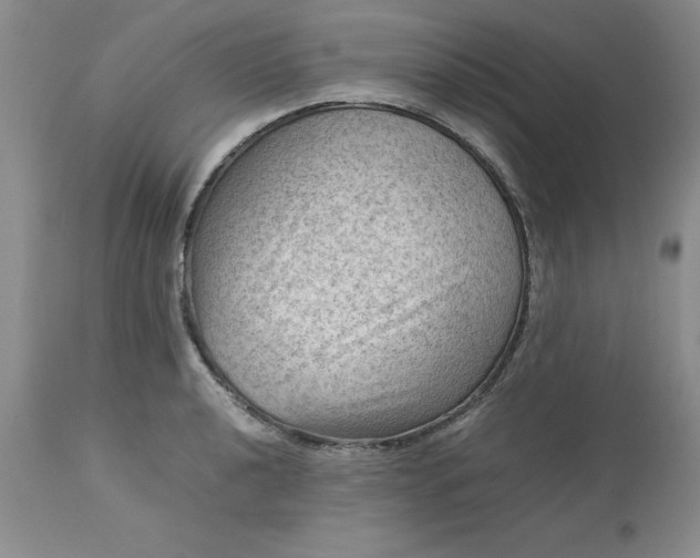 X0000113591040200910021712