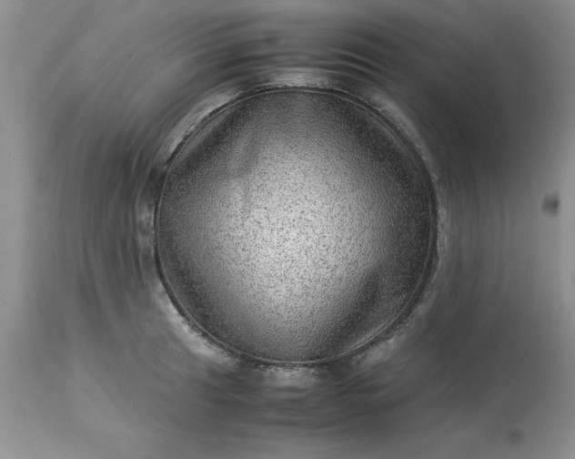 X0000113591041200910021712