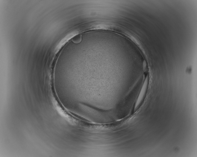 X0000113591042200910021712