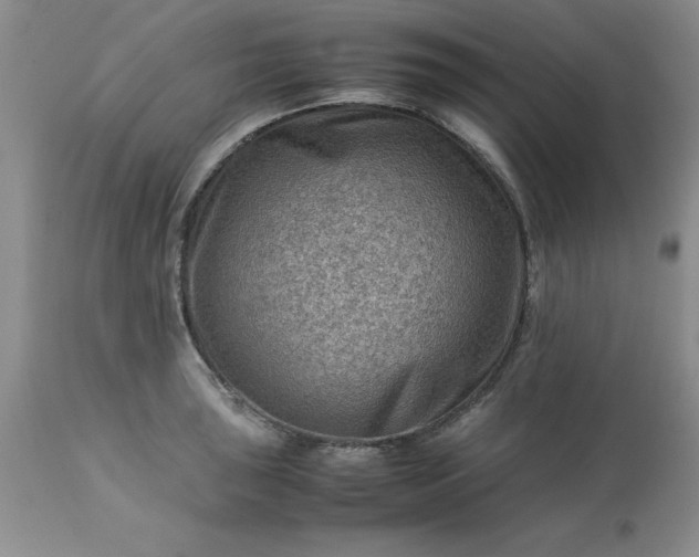 X0000113591043200910021712