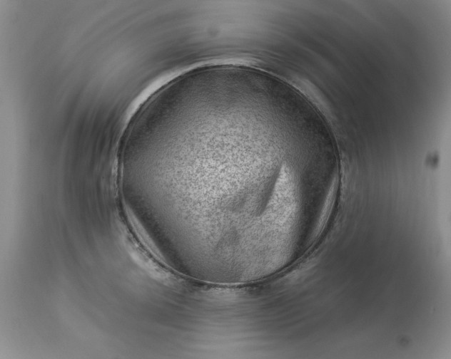 X0000113591044200910021712