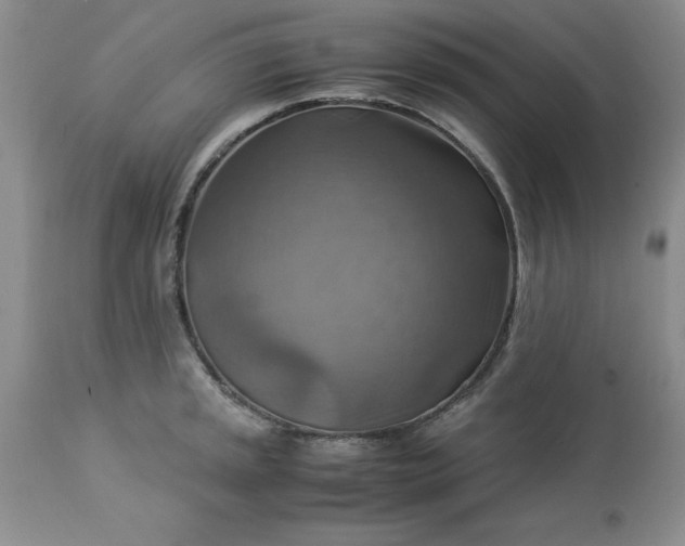 X0000113591045200910021712