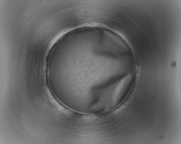 X0000113591046200910021712