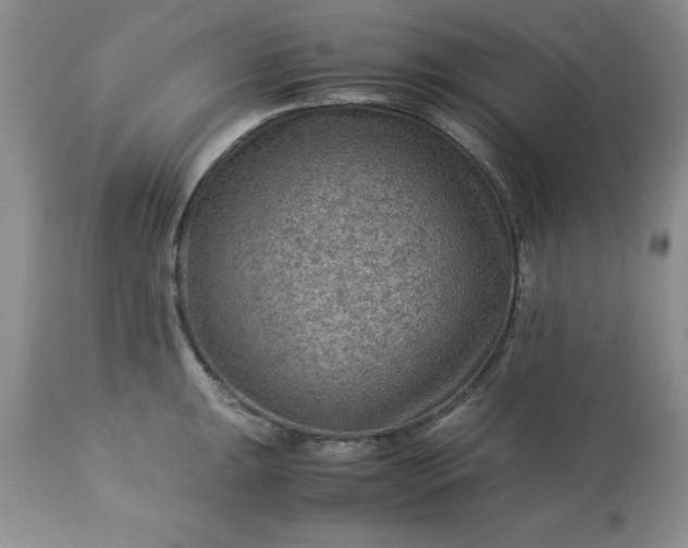 X0000113591047200910021712