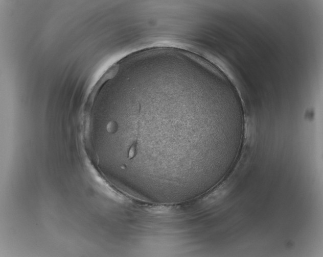 X0000113591048200910021712