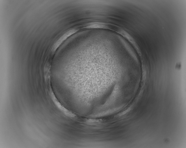 X0000113591049200910021712