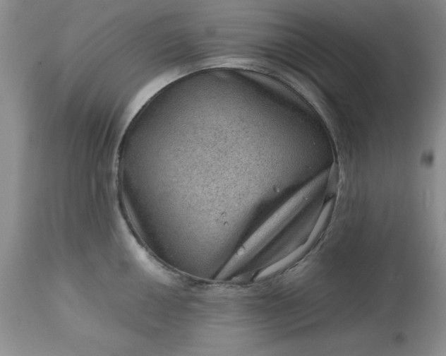 X0000113591050200910021712