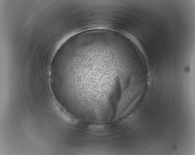 X0000113591051200910021712