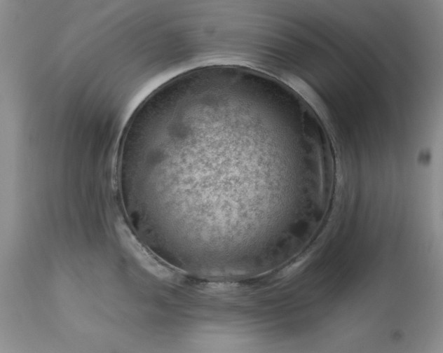 X0000113591052200910021712