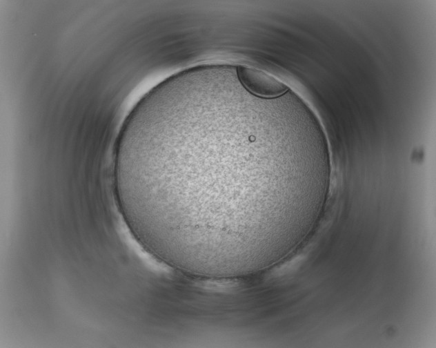 X0000113591053200910021712