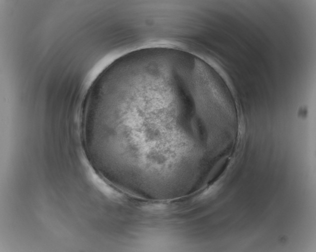 X0000113591054200910021712