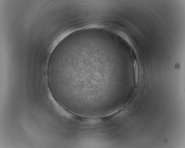 X0000113591055200910021712