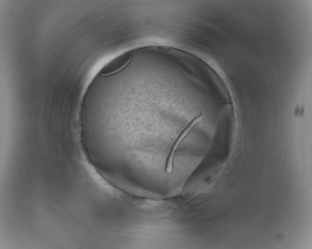 X0000113591056200910021712