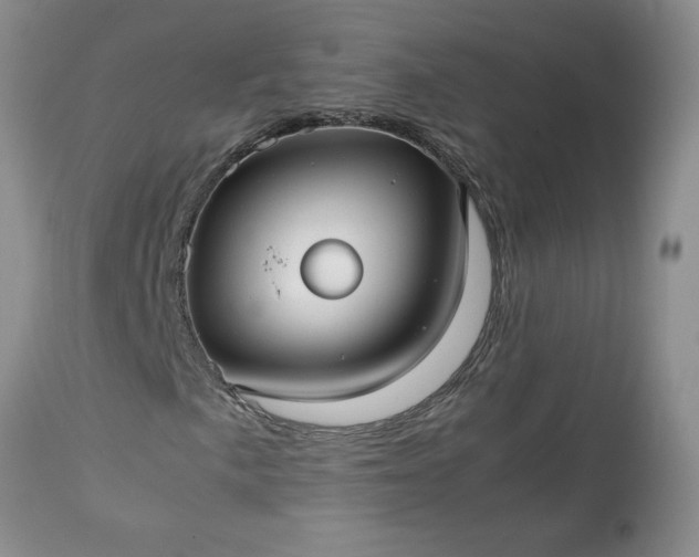 X0000113591057200910021711