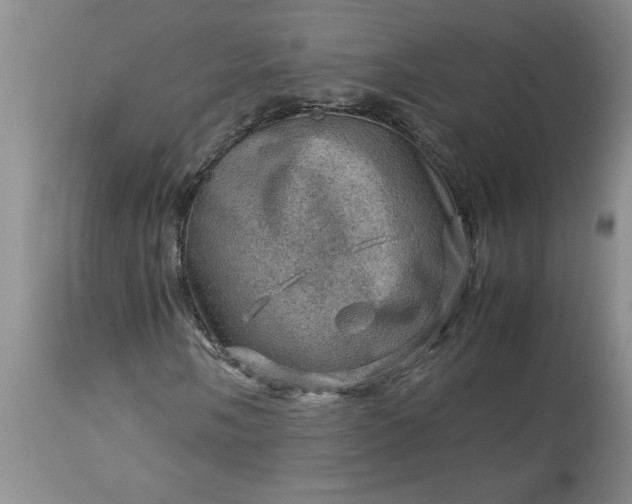 X0000113591058200910021711