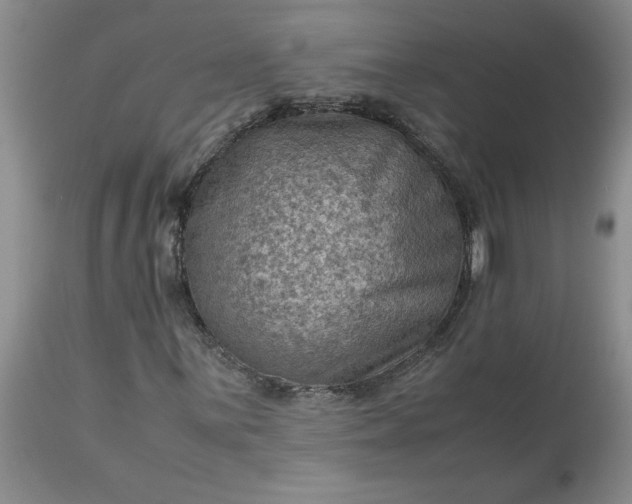 X0000113591059200910021711