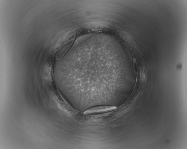 X0000113591060200910021711