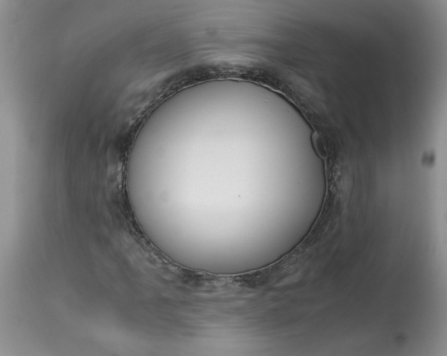 X0000113591061200910021711