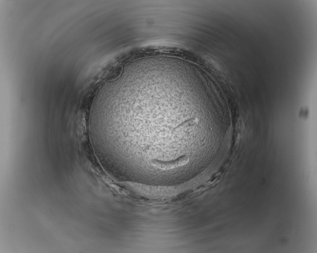 X0000113591062200910021711