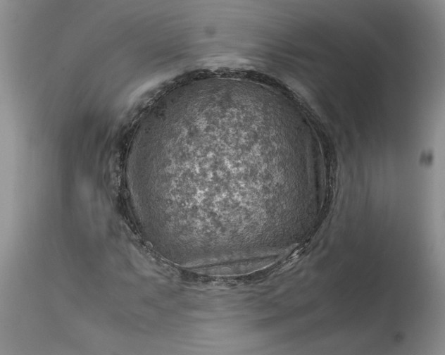 X0000113591063200910021711