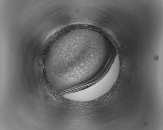 X0000113591064200910021711