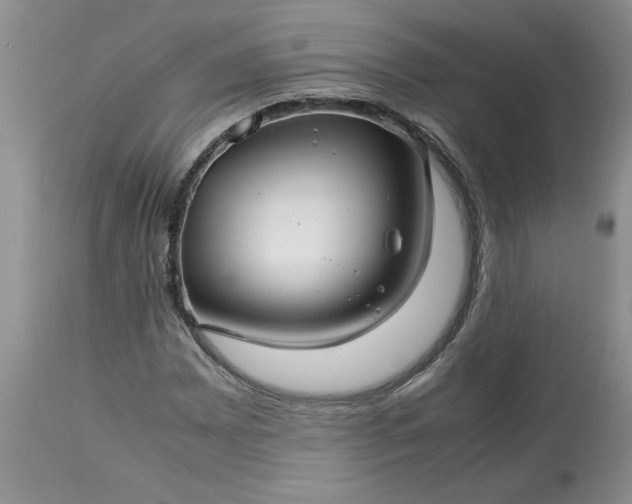 X0000113591065200910021711