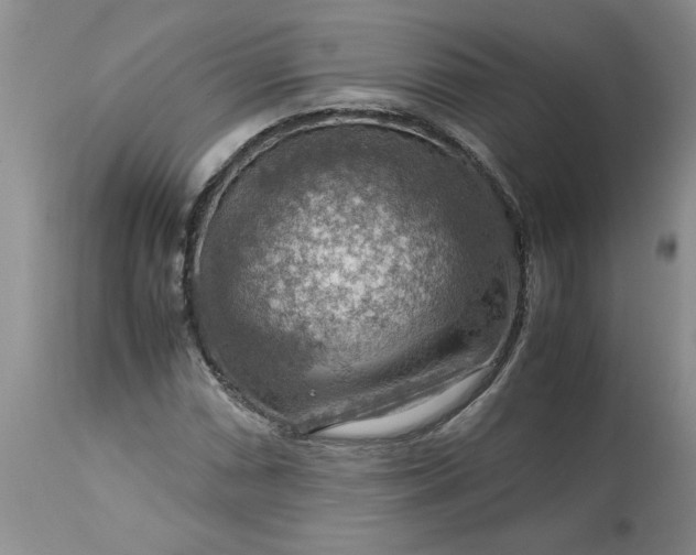 X0000113591066200910021711