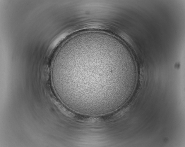 X0000113591067200910021711