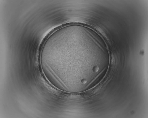 X0000113591068200910021711