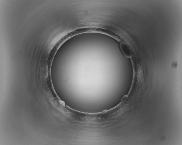 X0000113591069200910021711