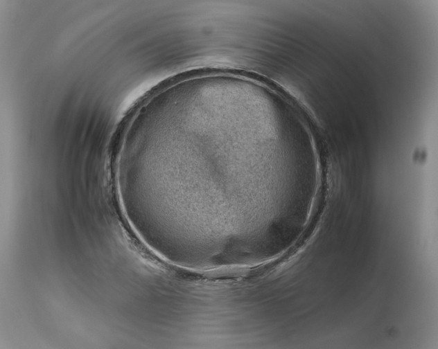 X0000113591070200910021711