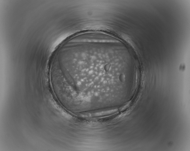 X0000113591071200910021711