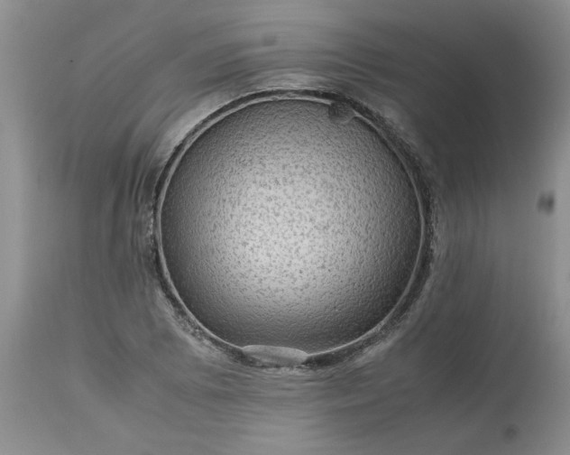 X0000113591073200910021711