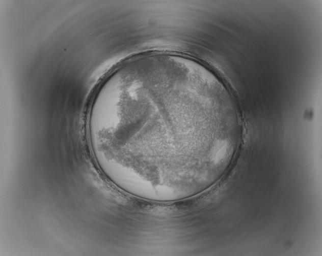 X0000113591074200910021711