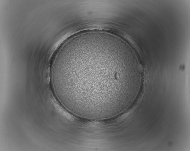 X0000113591075200910021711