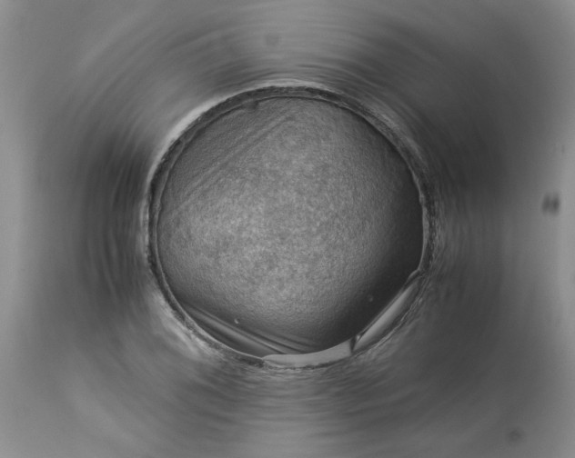 X0000113591076200910021711