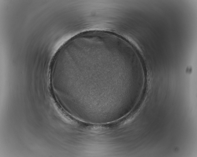 X0000113591077200910021711